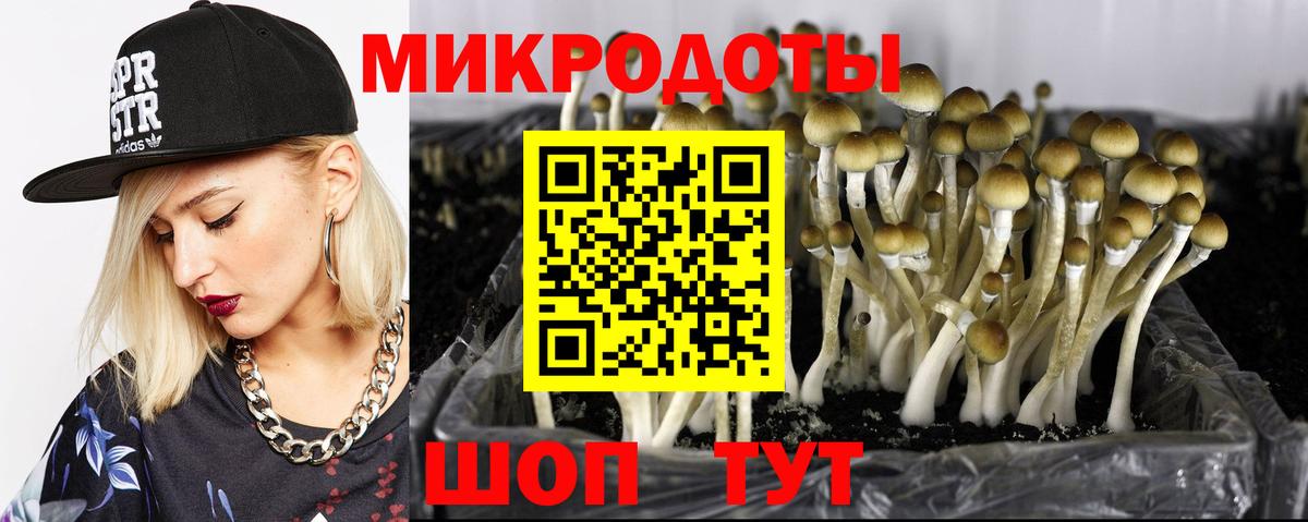 Псилоцибиновые грибы мицелий Кашира