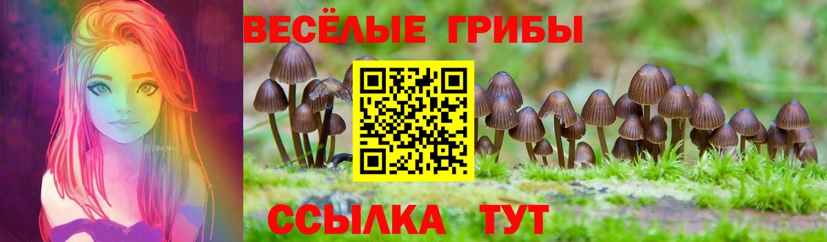Кашира  Галлюциногенные грибы мицелий  Вход с VPN 